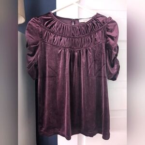 LOFT crushed velvet top XS
